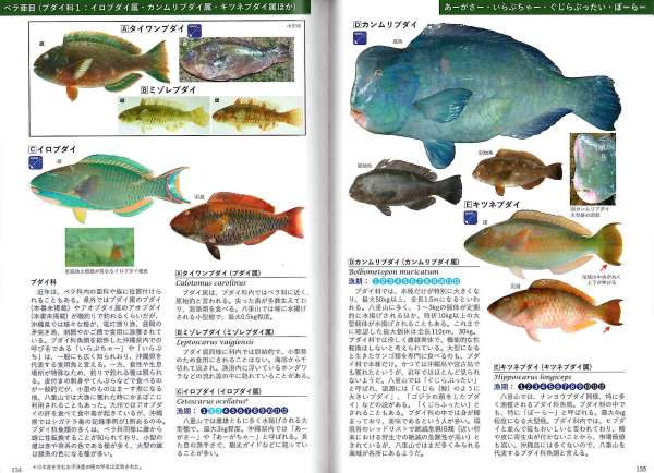 大幅にプライスダウン 沖縄さかな図鑑 Commercial Fishes and Shellfish…